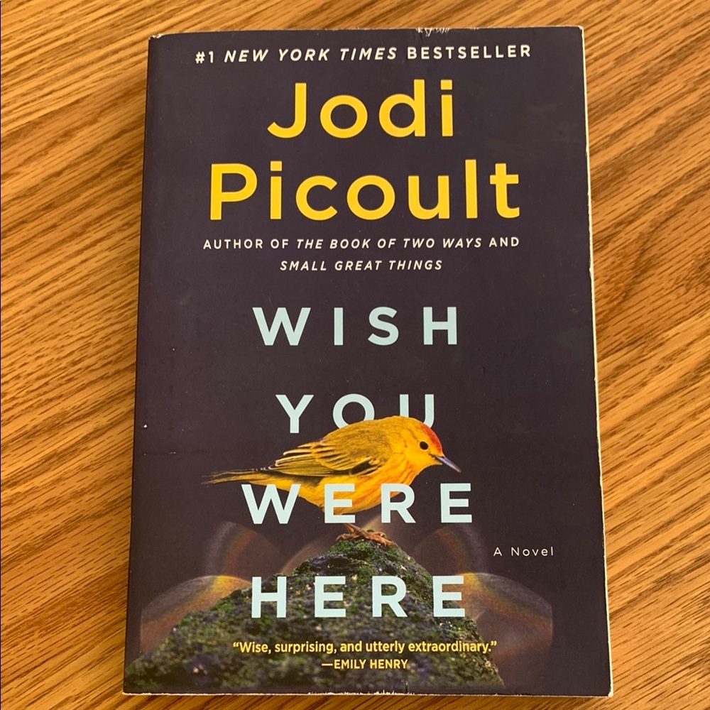 Jodi Picoult 'Wish You Were Here' Book